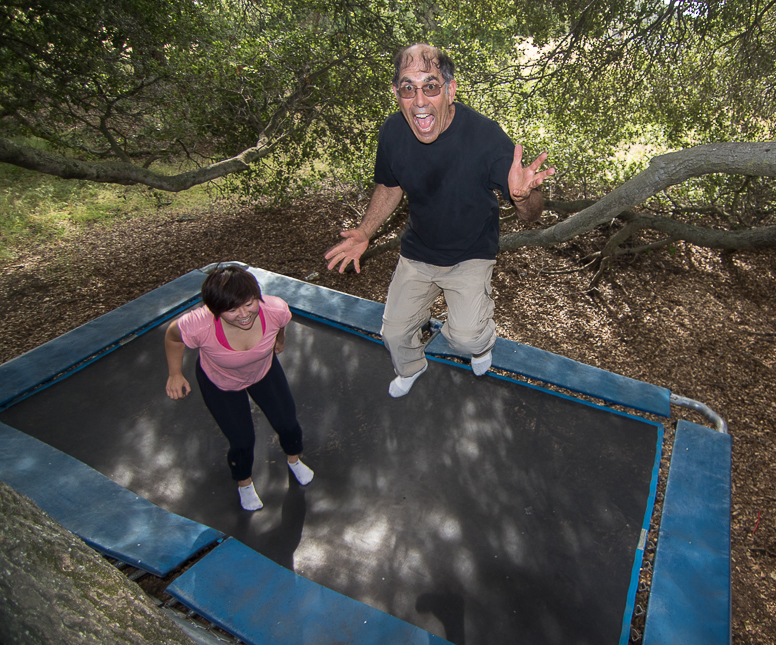 secret trampoline